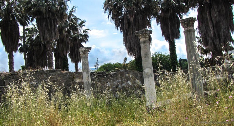Lone columns in the long grass at the Kos Agora Greece